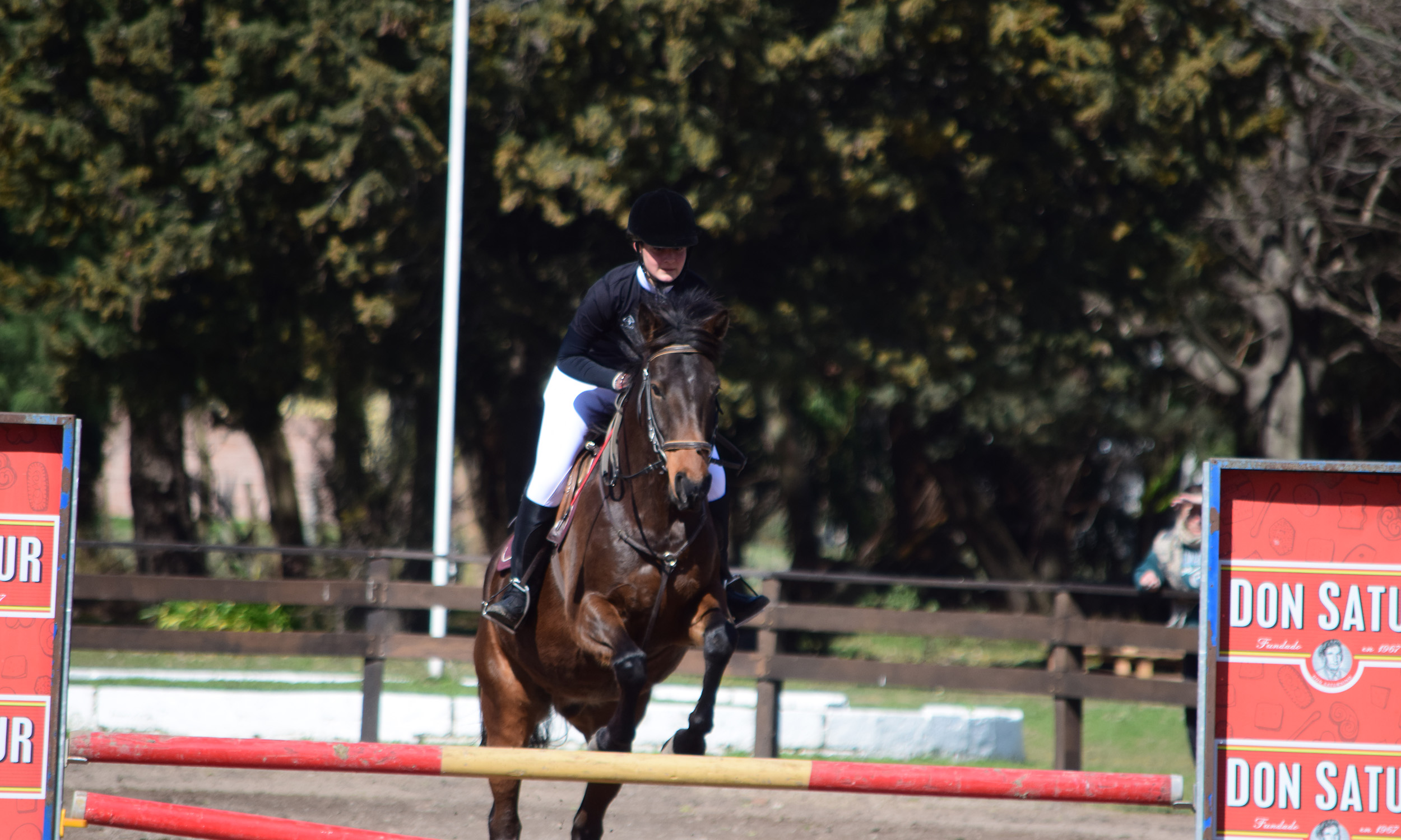 Hipismo