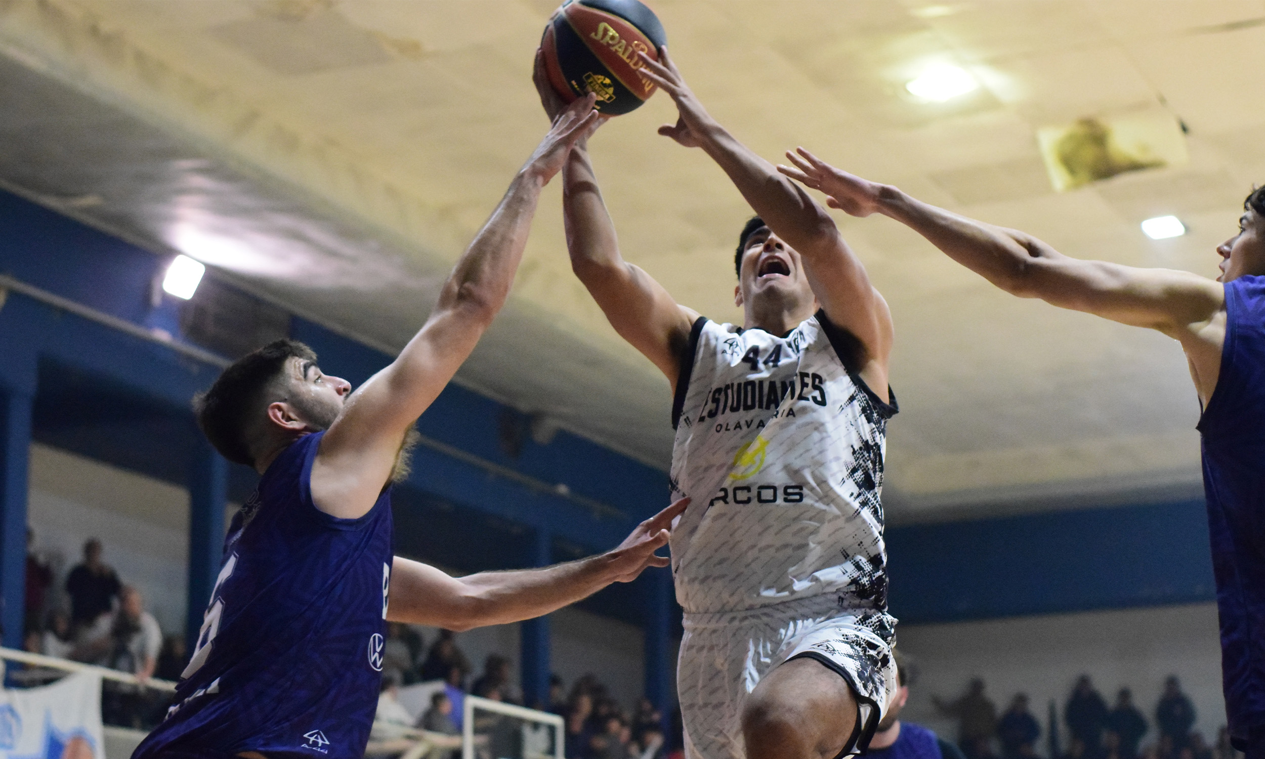 Basquet