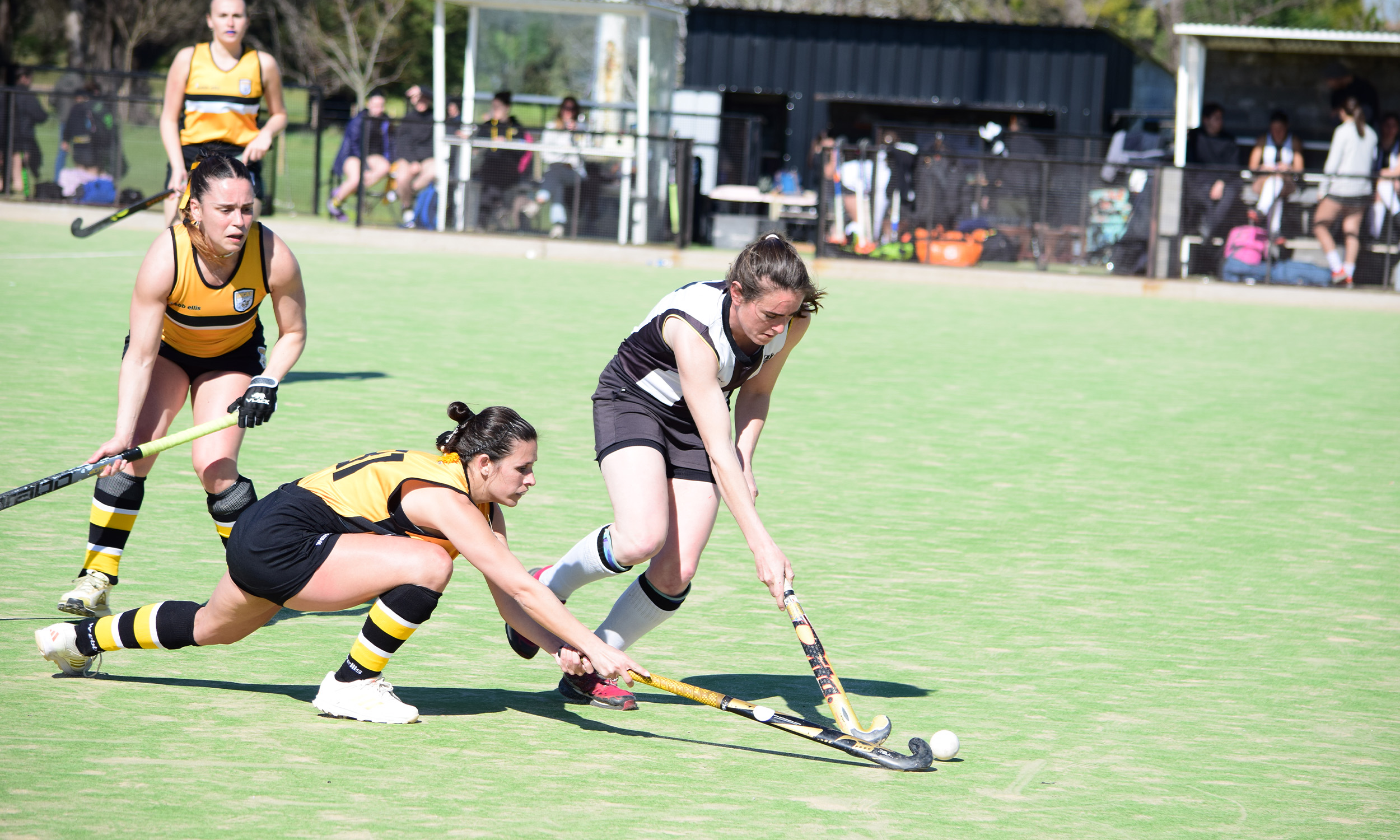 Hockey