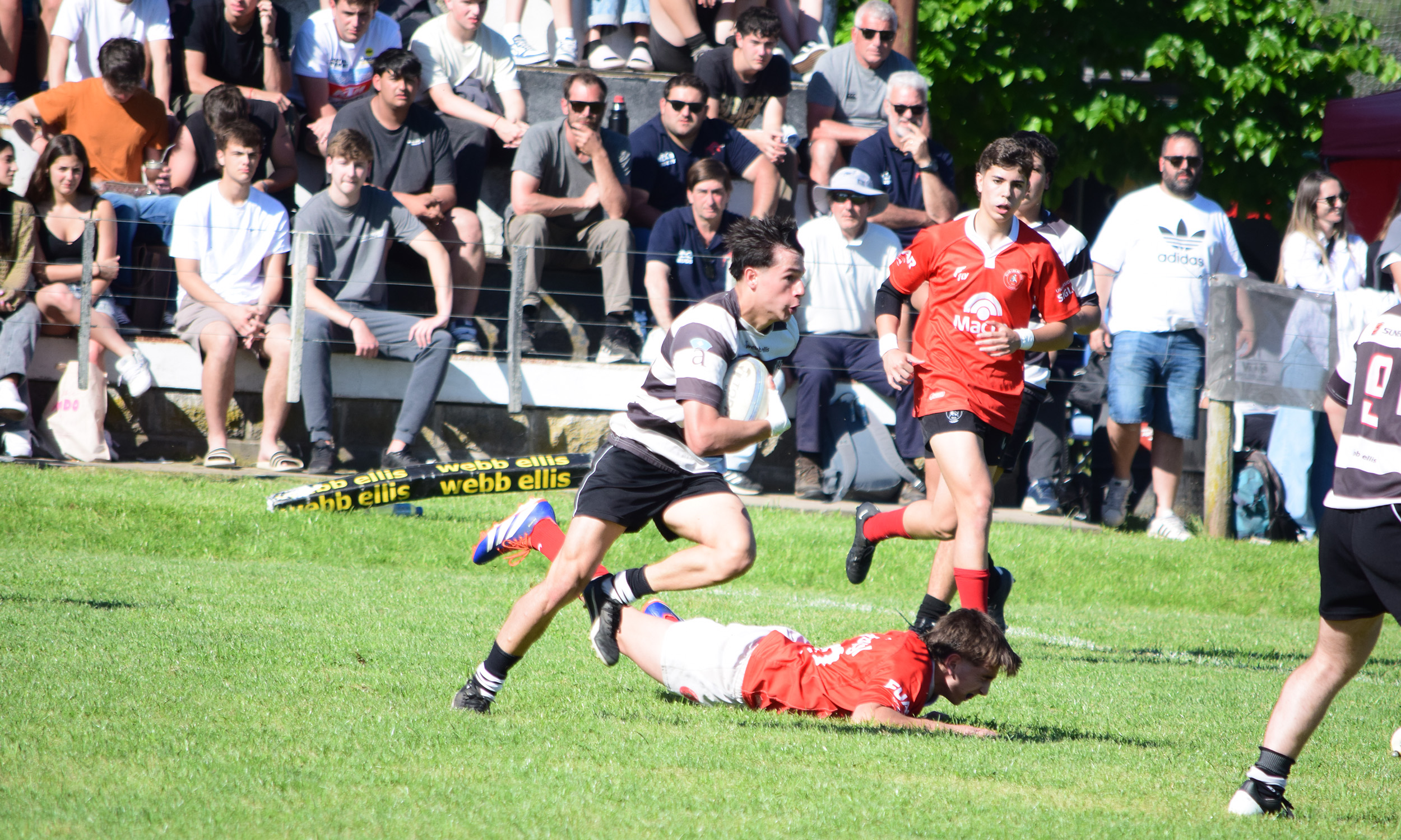 Rugby