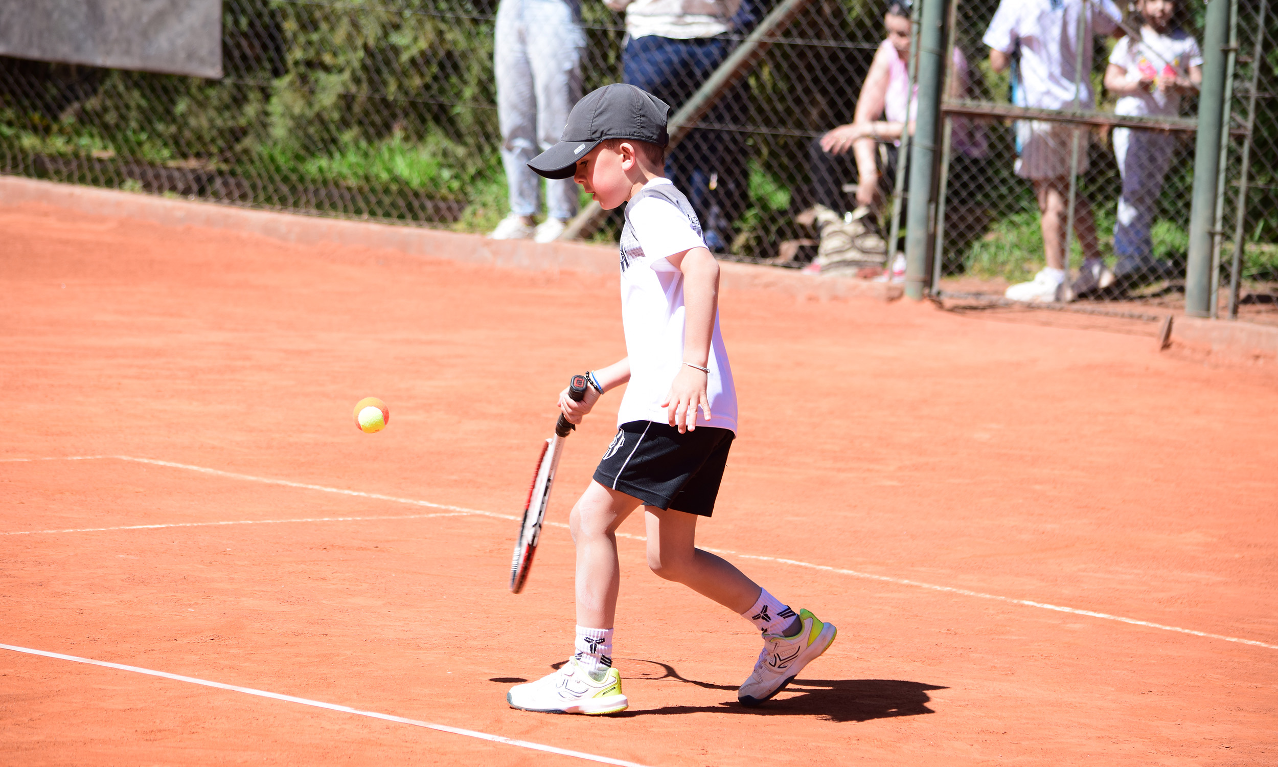 Tenis