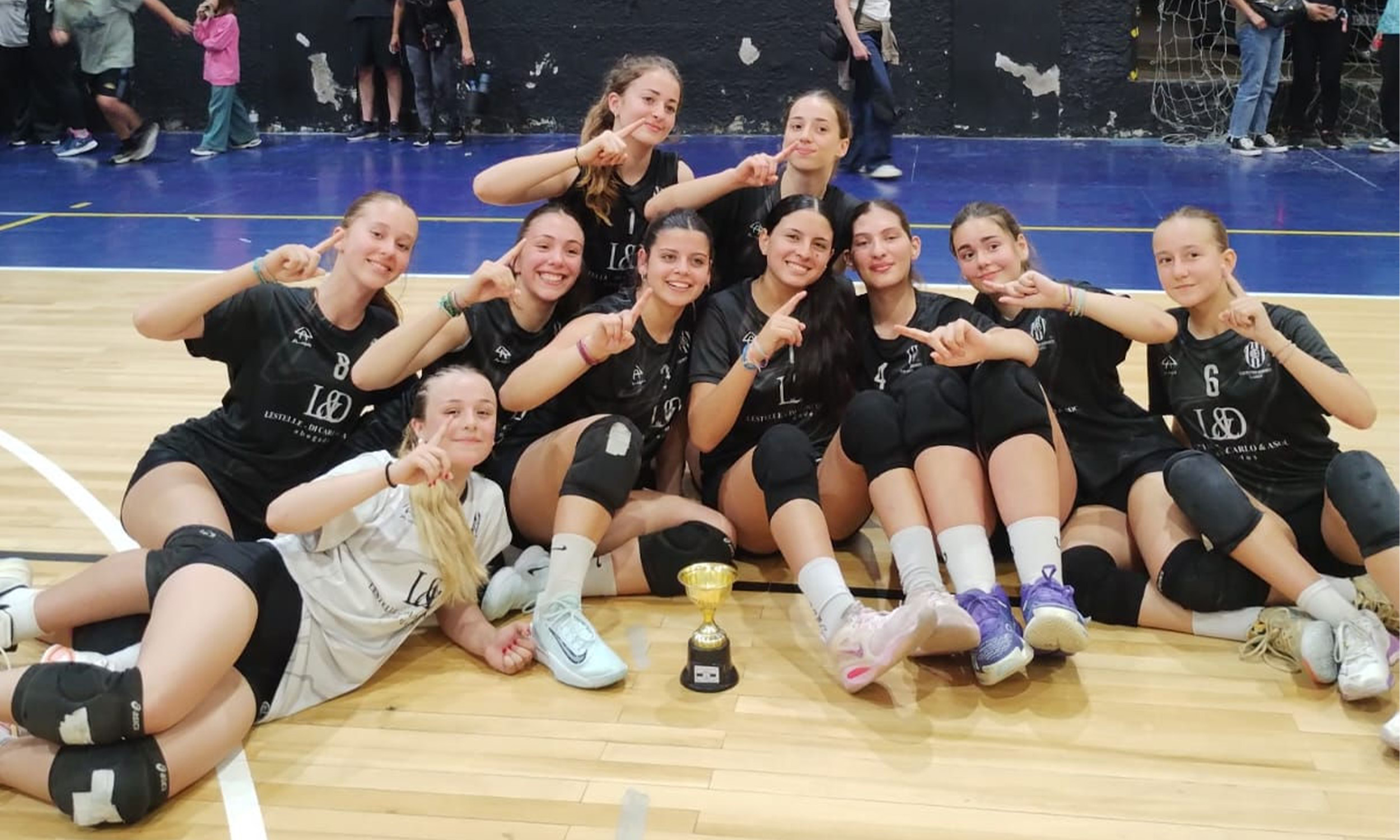 Voley 2