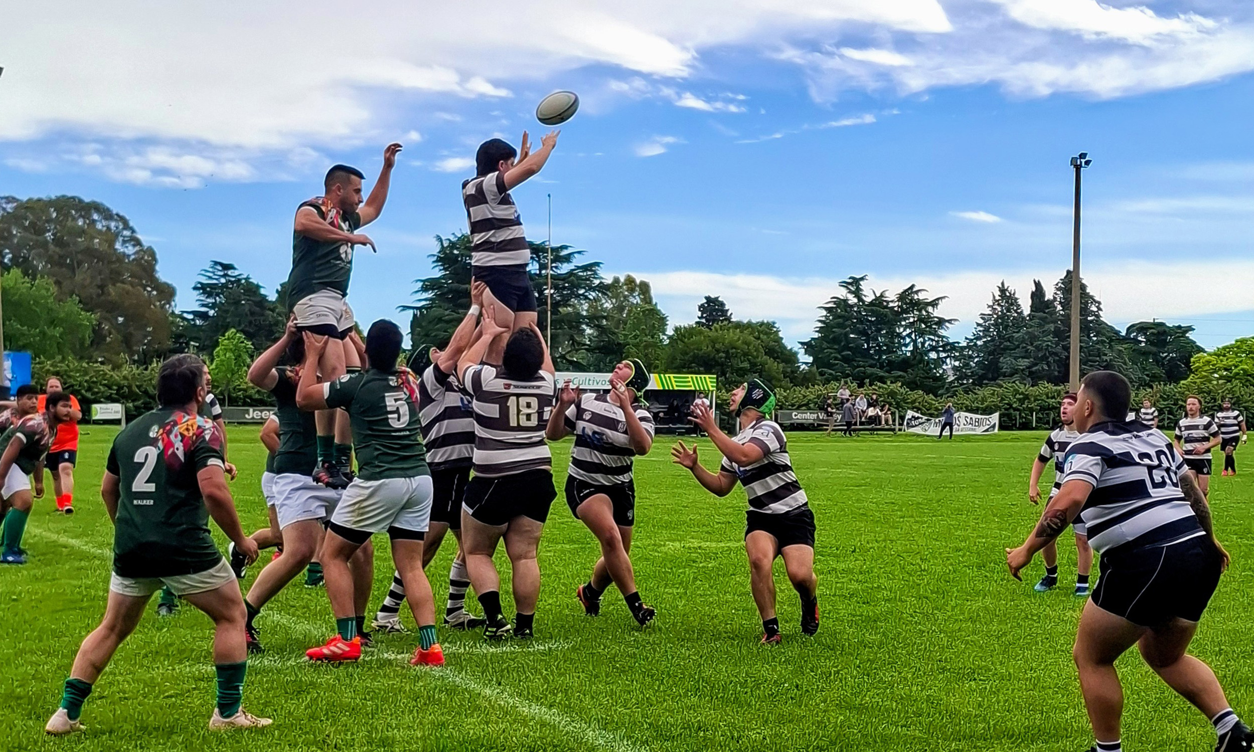 placa web rugby primera