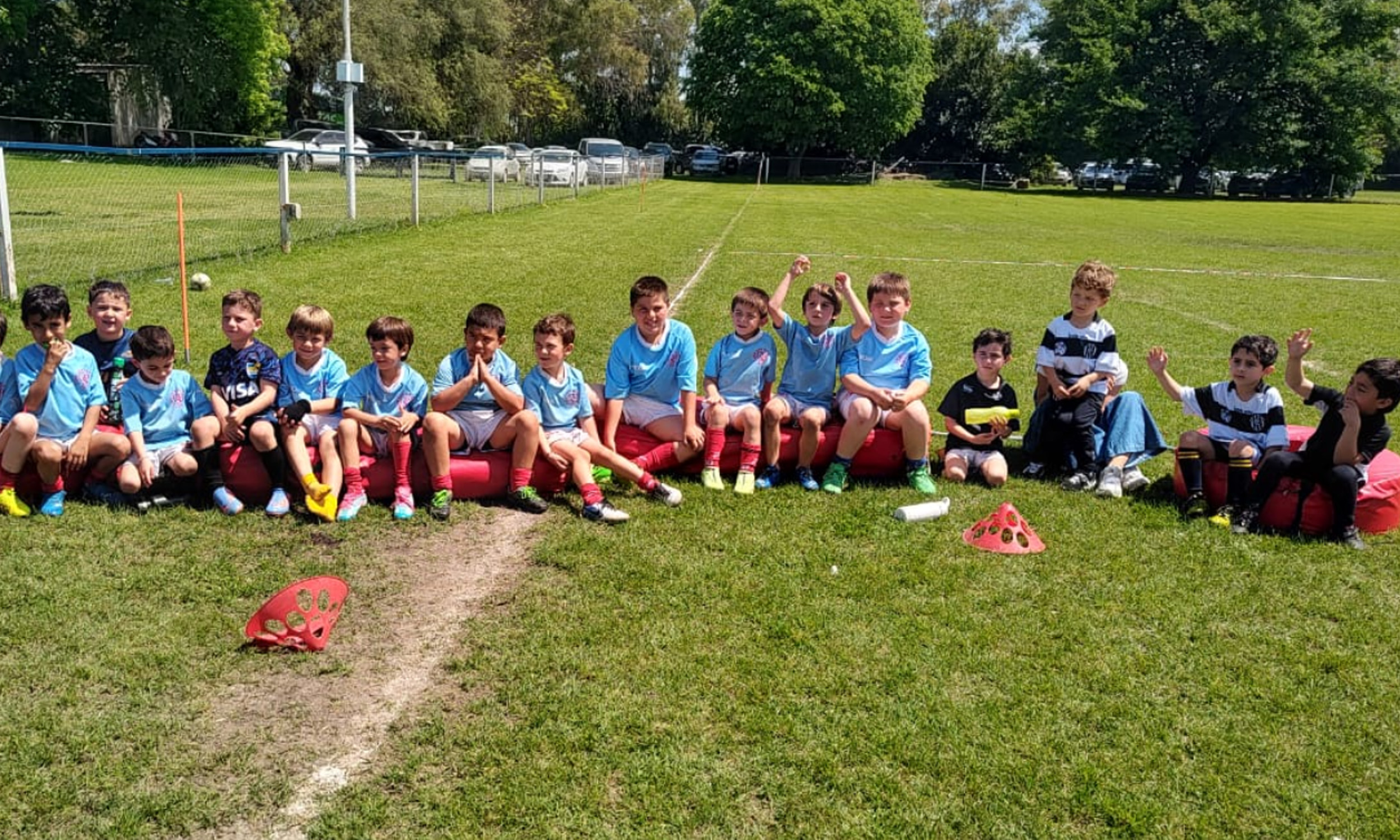 foto web rugby infantil