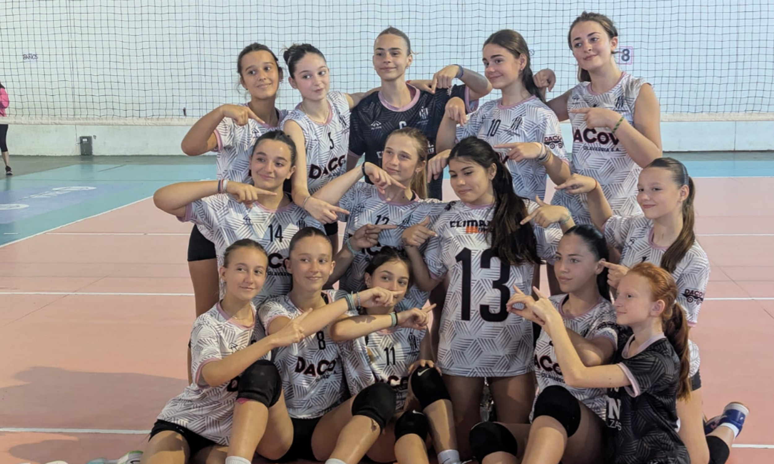 voley placa web