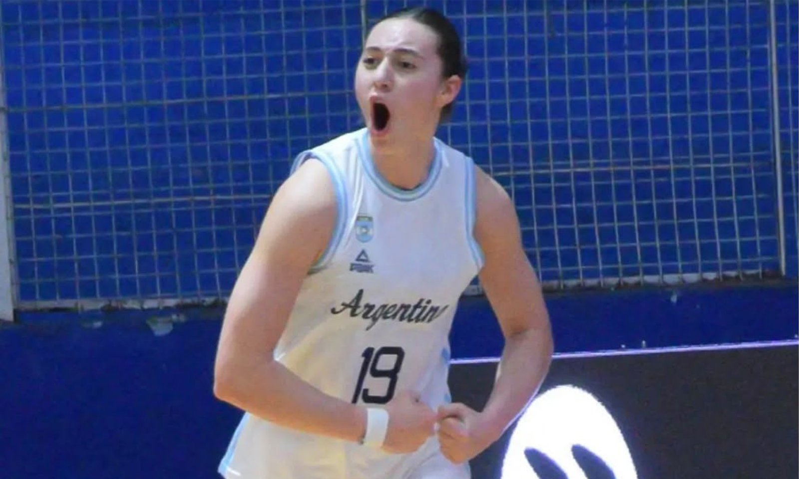 Basquet